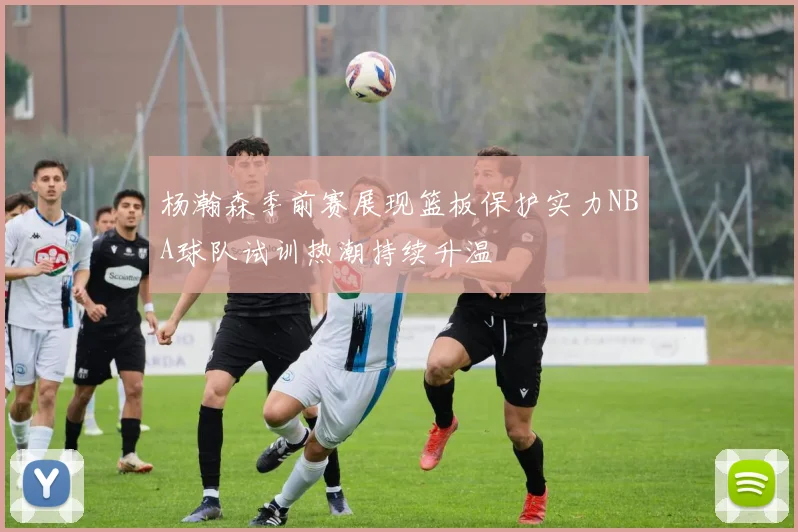 杨瀚森季前赛展现篮板保护实力NBA球队试训热潮持续升温